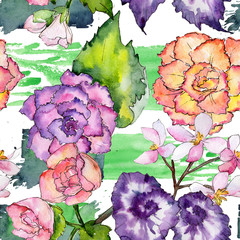 Wildflower begonia flower pattern in a watercolor style. Full name of the plant: begonia. Aquarelle wild flower for background, texture, wrapper pattern, frame or border.