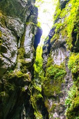 Rocks full of moss Tolmin Gorges, Slovenia