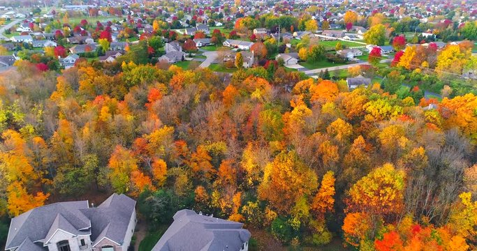 Tranquil idyllic neighborhood amid colorful Autumn trees at dawn, aerial view.
