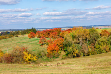Fototapeta premium Autumn landscape with fall colored trees