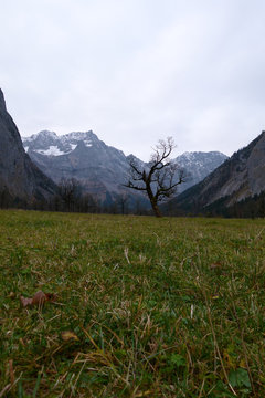 Der Ahronboden im Herbst