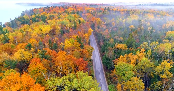 Dazzling aerial aerial view of country road through breathtaking Autumn colors under thin layer of fog, aerial view.