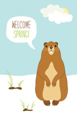 Cute Groundhog Day card as funny cartoon character of marmot