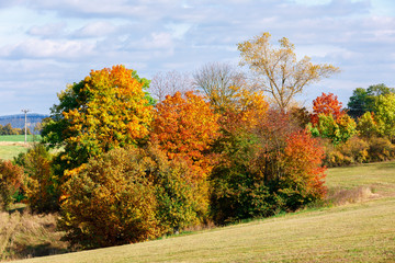 Autumn landscape with fall colored trees
