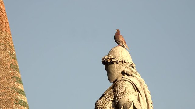 pidgeon on head of ancient statue near belfry