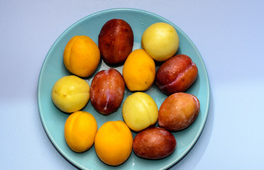 Summer fruits: apples, pears, apricots, plums on a blue plate