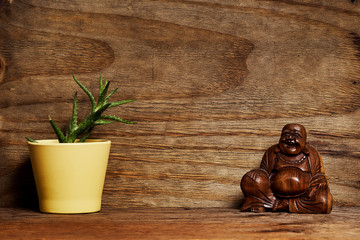 bright wooden shelf with buddha and plant on plywood wall