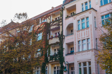 old and residential houses in autumn with ivy ranked facade