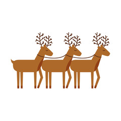 christmas three reindeer animal horned funny