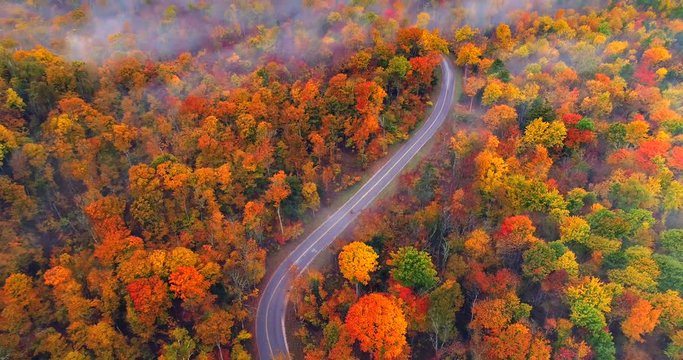 Dazzling aerial aerial view of country road through breathtaking Autumn colors under thin layer of fog, aerial view.