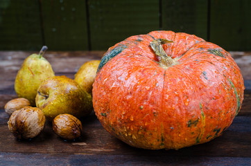 pumpkin with pears and nuts, autumn still life