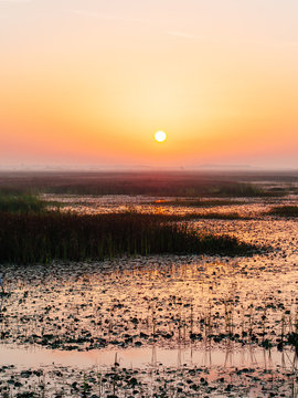 Sunrise over the bayou.