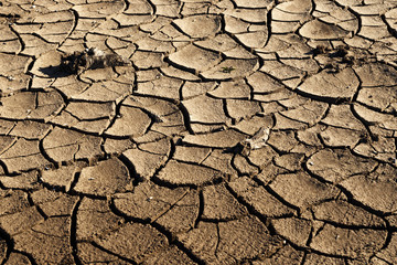 Cracks in drought affected earth