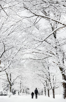 Boy and his dad walk down a tree-lined street during a big snow