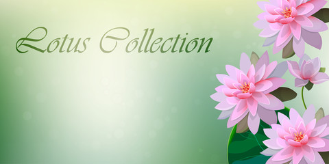 illustration of lotus flower