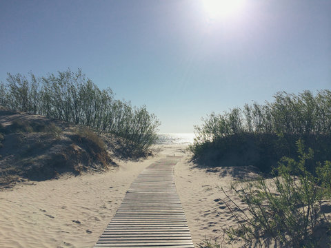 path to the beach