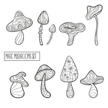 Set of stylized magic mushrooms