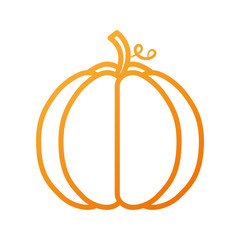 autumn seasonal pupmkin harvest nature