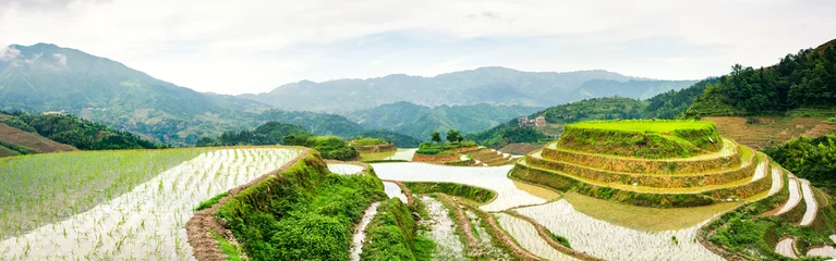 Crédence de cuisine en verre imprimé Campagne Terraced rice field panorama with stunning scenery