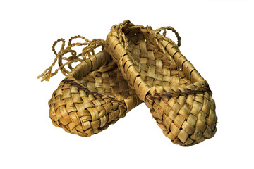  Bast shoes.