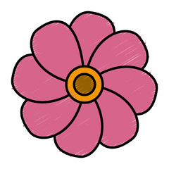 Beautiful flower symbol icon vector illustration graphic design