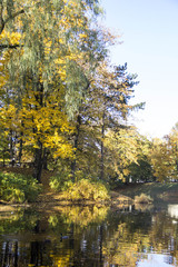 Obraz premium Riga Canal in autumn that flows through Bastion hill park (Bastejkalns). Latvia