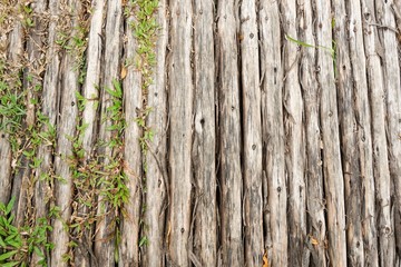 Obraz premium wood log floor texture