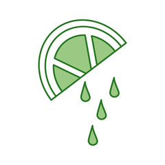 sliced lime juicy citrus fruit tropical