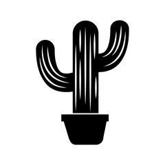 mexican potted cactus natural plant decoration