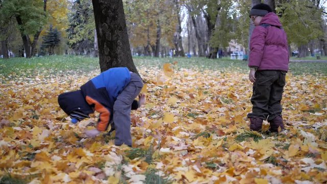 The time of year, Autumn. Children playing in the nature