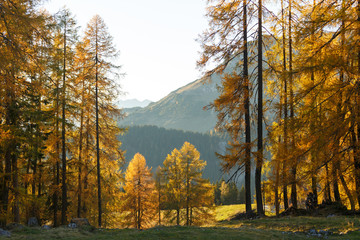 Evening in mountains