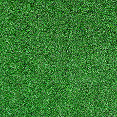 Fototapeta premium Texture green grass. Background of green turf grass. Texture coating of a football field. Green lawn