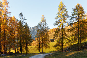 Colourful autumn landscape. Austria, Alps