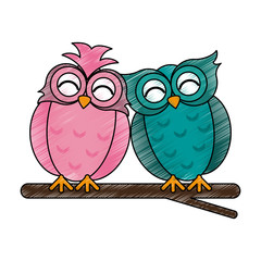 lovebirds owls icon image vector illustration design