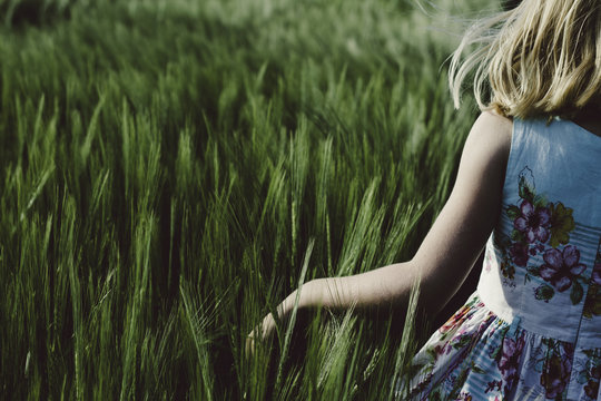 A little girl in a field of barley