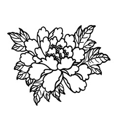 beautiful peony flower - close-up - an idea for a tattoo. New school style