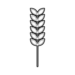 branch laurel leaves decoration natural