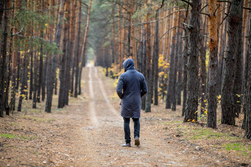 Obraz premium a man walks away on a forest road
