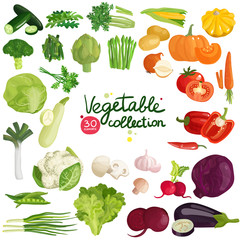 Vegetables And Herbs Collection