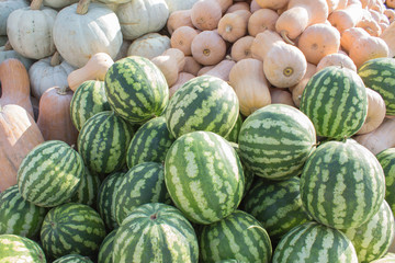 Ripe pumpkins and watermelon at farmer market in Georgia. agriculture pumpkins and watermelon
