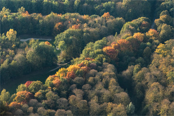 Fototapeta na wymiar Vue aérienne de la forêt de Raray à l'automne dans l'Oise en france