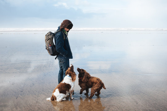 Man with his dogs at the beach