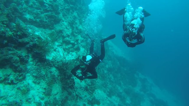 Two scubadivers swim near coral reef, Indian Ocean, Maldives
