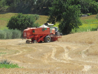 Fototapeta premium Mietibatte