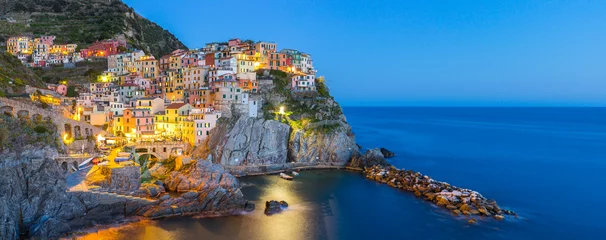 Foto op Plexiglas Manarola dorp één van Cinque Terre & 39 s nachts in La Spezia, Italië © orpheus26