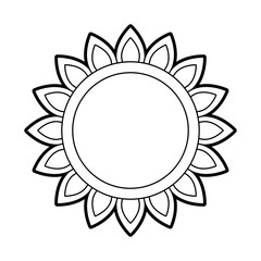 sunflower natural plant petal decoration