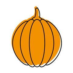 thanksgiving pumpkin dinner decoration celebration