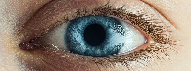 Female Blue Eye With Long Lashes Close Up. Human Eye Macro Detail. - 178066558