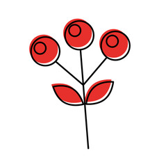 branch autumn berries plant nature leaves