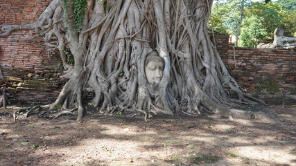 ayutthaya temple
